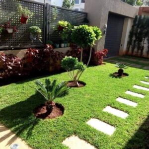 شركة تنسيق حدائق بجدة5