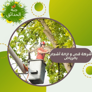 كيف تحافظ على جمال منزلك من خلال خدمات قص وإزالة الأشجار في الرياض؟